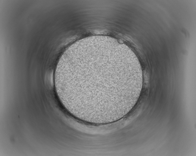 X0000111220028200908131111