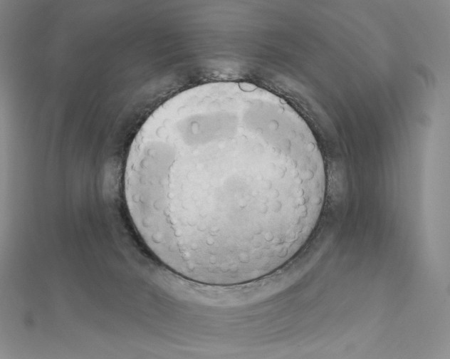 X0000111220030200908131111