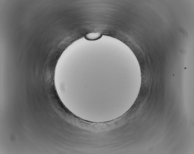 X0000111220031200908131111
