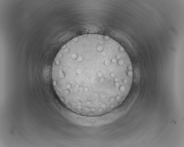 X0000111220034200908131111