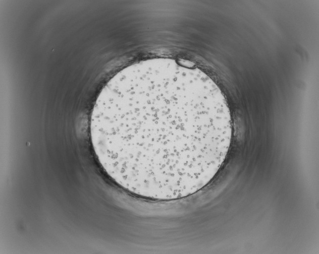 X0000111220036200908131111