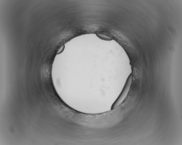 X0000111220037200908131111