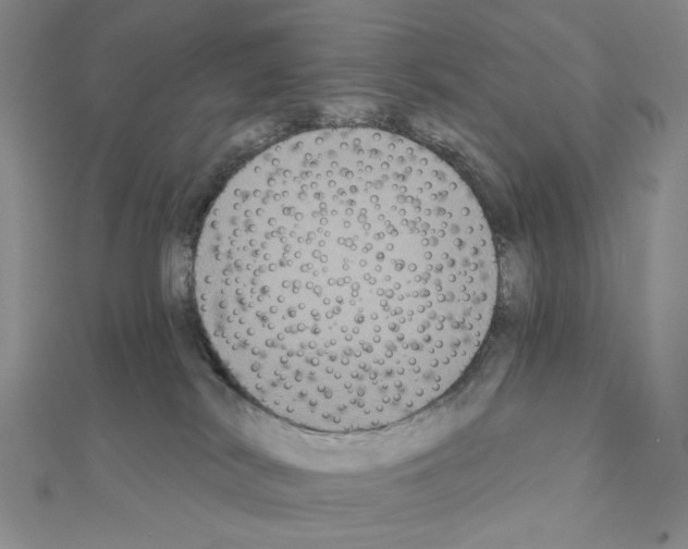 X0000111220038200908131111