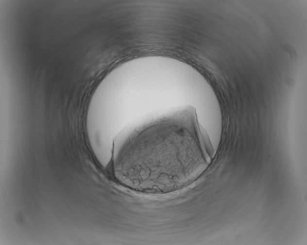 X0000111220039200908131111
