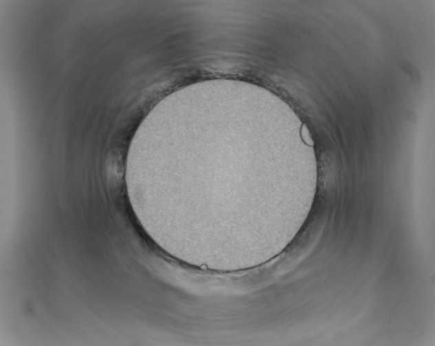 X0000111220040200908131111