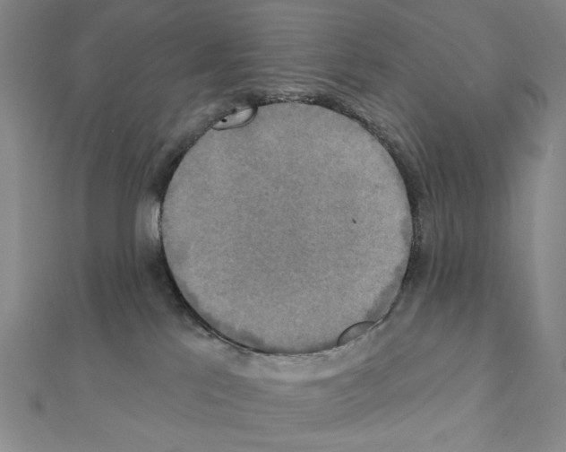X0000111220041200908131111