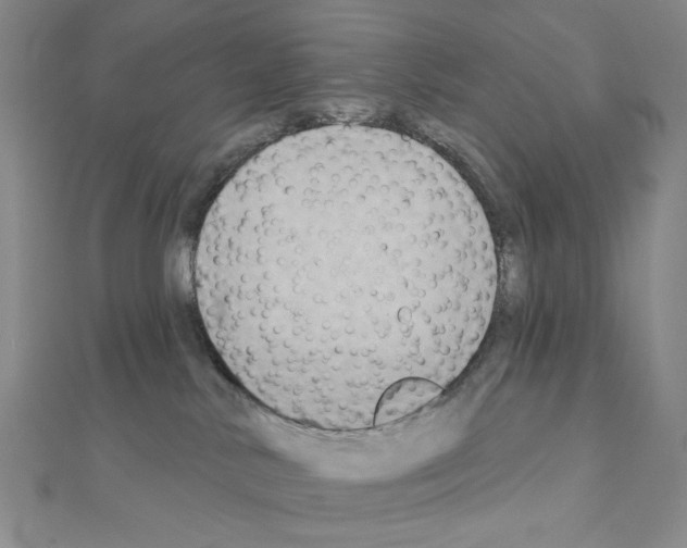 X0000111220042200908131111