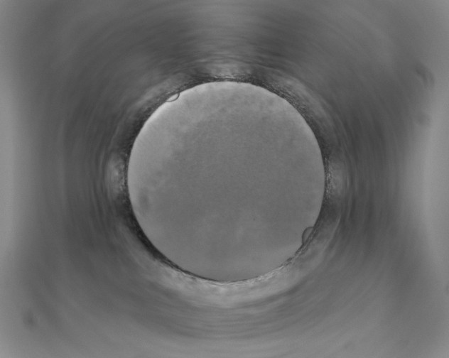 X0000111220043200908131111