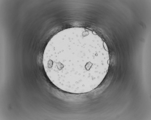 X0000111220044200908131111