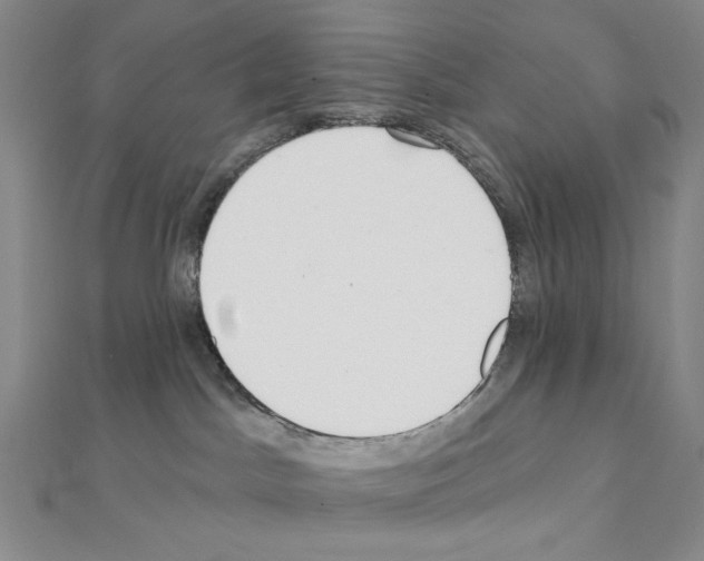 X0000111220045200908131111