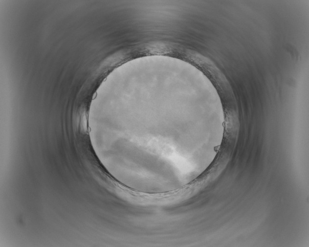 X0000111220046200908131111