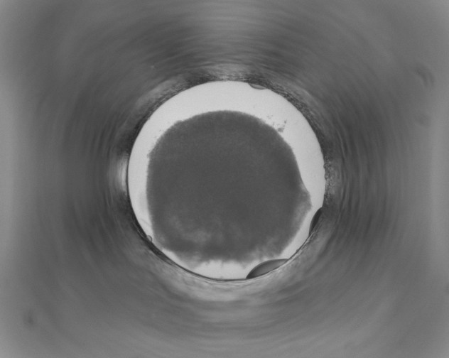 X0000111220047200908131111