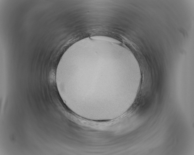 X0000111220048200908131111