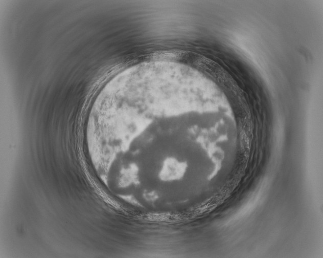 X0000111220049200908131110