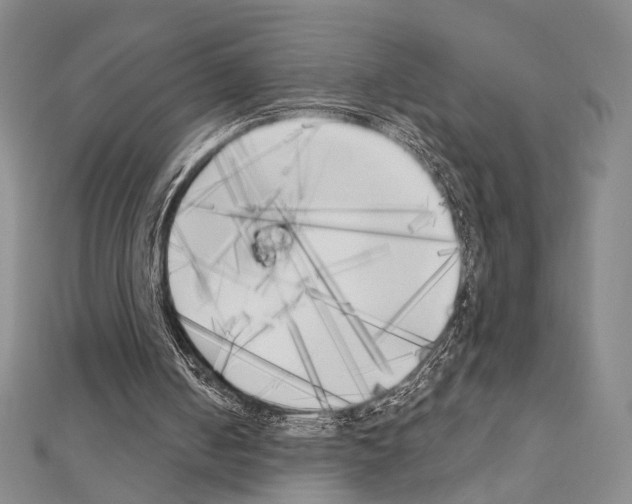X0000111220050200908131110