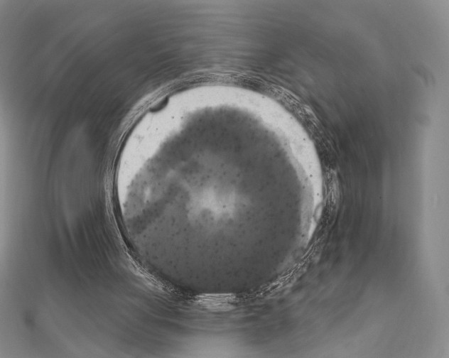 X0000111220051200908131110