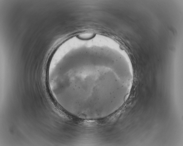 X0000111220055200908131110