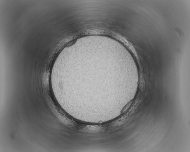 X0000111220057200908131110