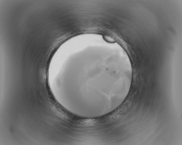 X0000111220059200908131110