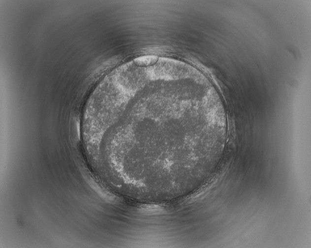X0000111220061200908131110