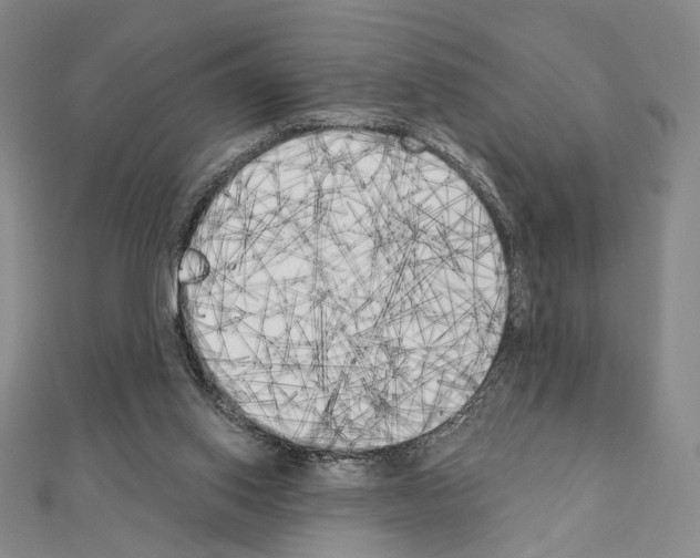 X0000111220062200908131110