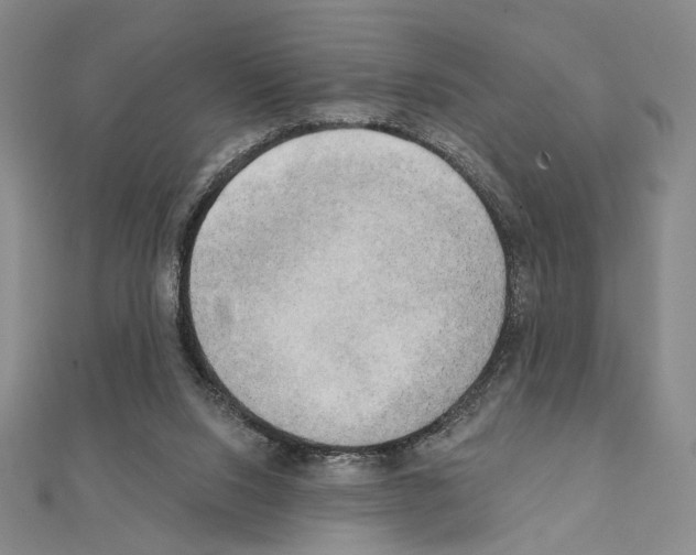 X0000111220064200908131110