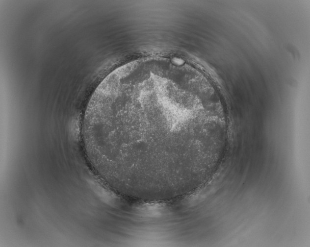 X0000111220065200908131110