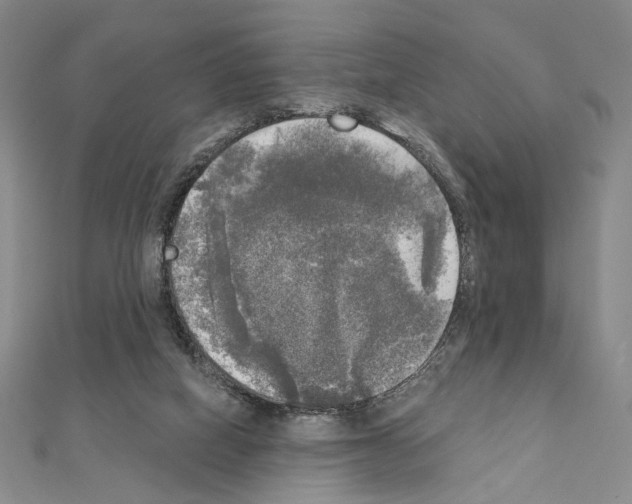 X0000111220066200908131111