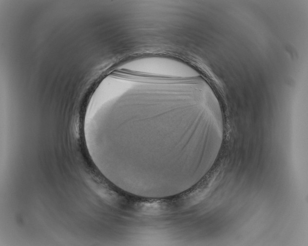 X0000111220068200908131111