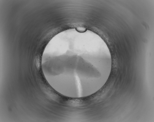 X0000111220069200908131111