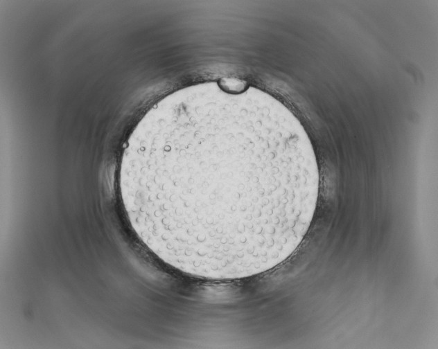 X0000111220070200908131111