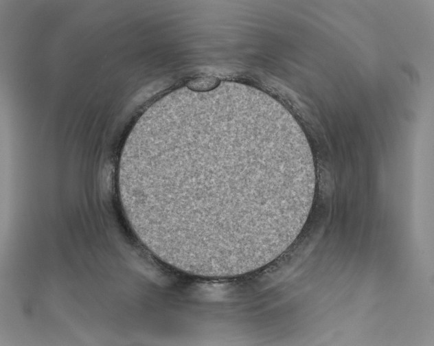 X0000111220071200908131111
