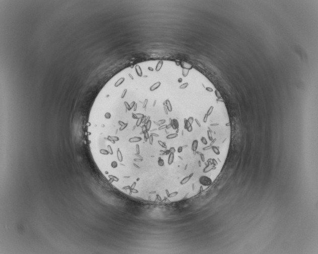 X0000111220074200908131111