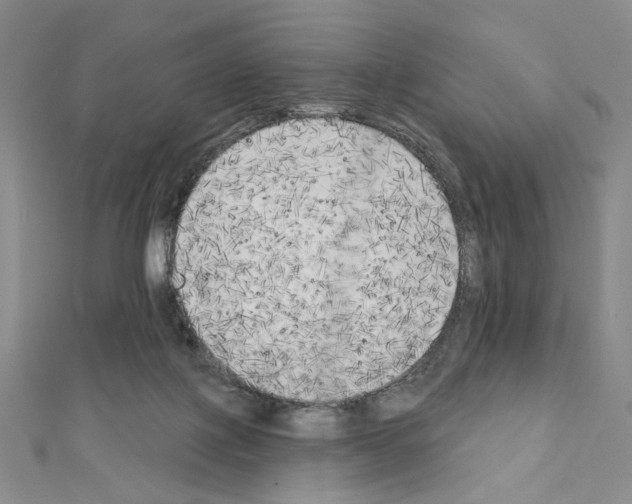 X0000111220075200908131111
