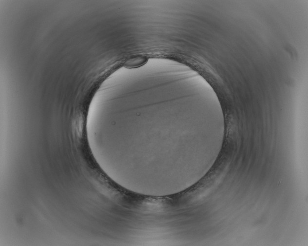 X0000111220076200908131111