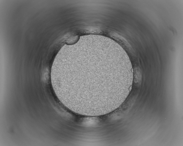 X0000111220077200908131111