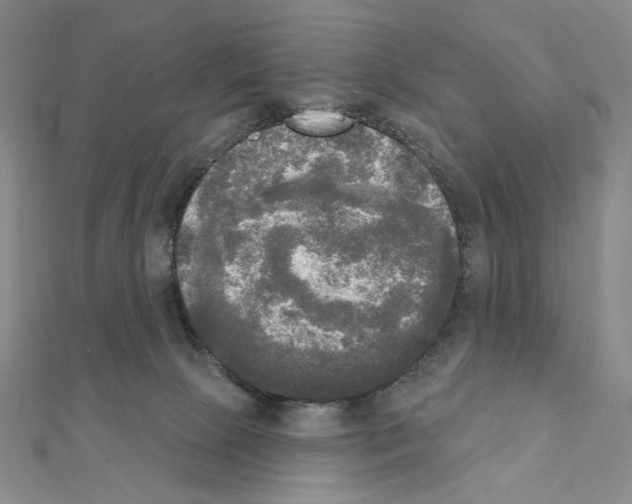 X0000111220081200908131111