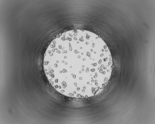 X0000111220082200908131111