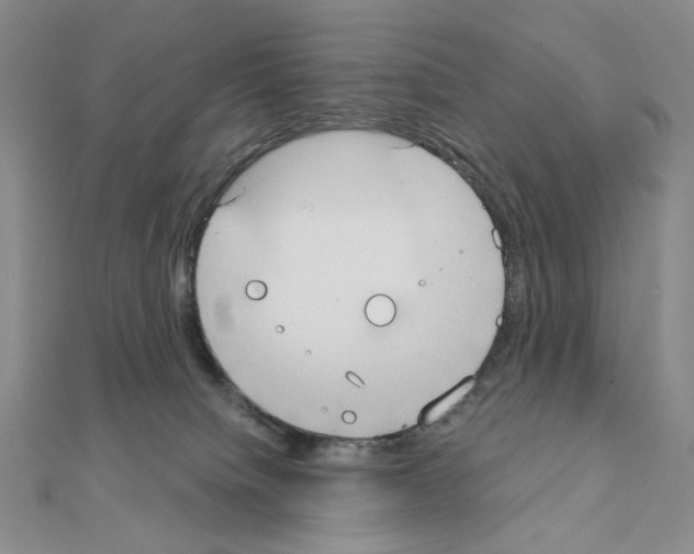 X0000111220084200908131111