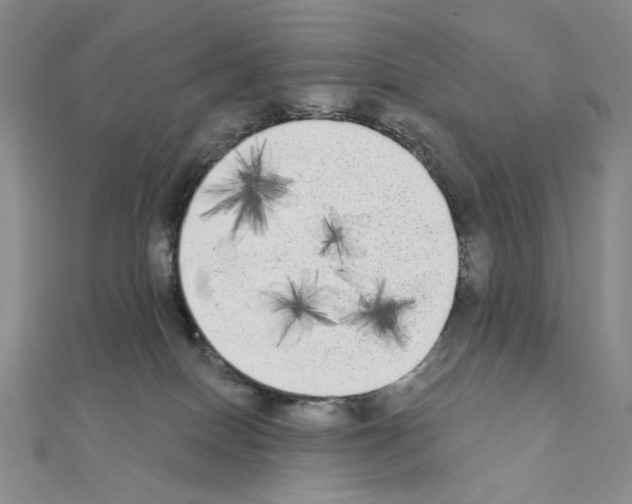 X0000111220086200908131111