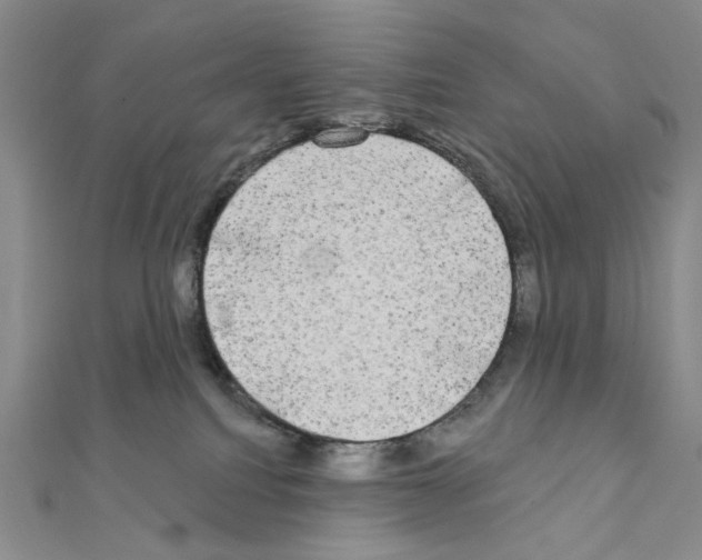 X0000111220088200908131111