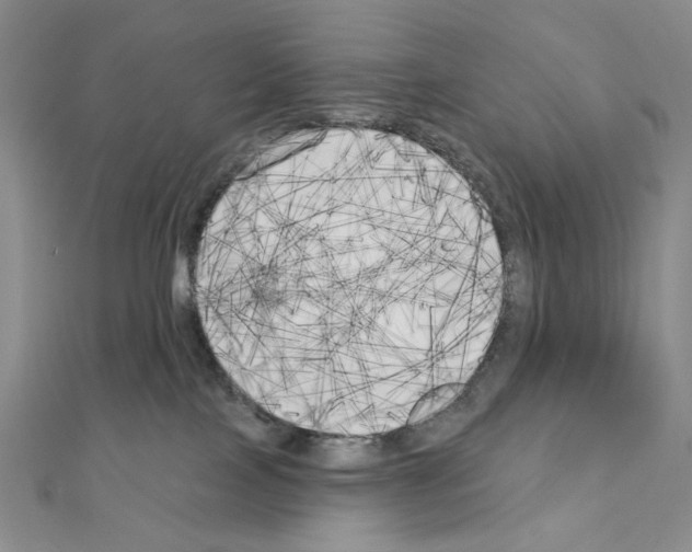 X0000111220089200908131111