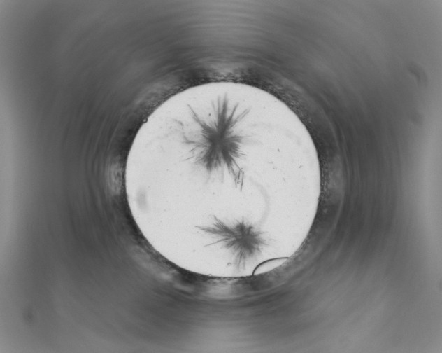 X0000111220090200908131111