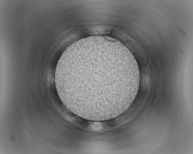 X0000111220091200908131111