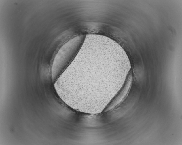 X0000111220092200908131111
