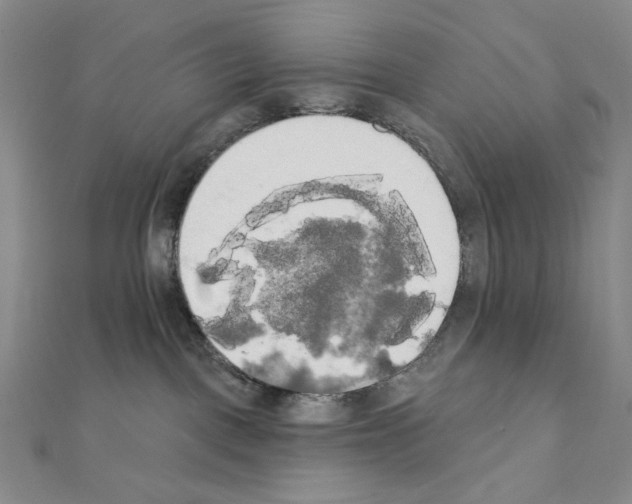 X0000111220093200908131111