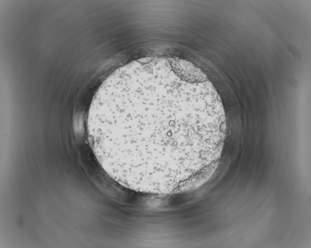 X0000111220094200908131111