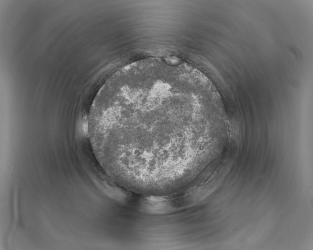 X0000111220095200908131111