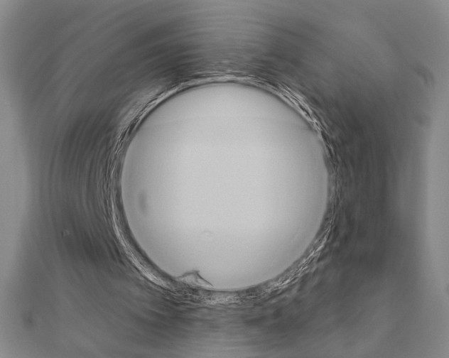 X0000111220097200908131110