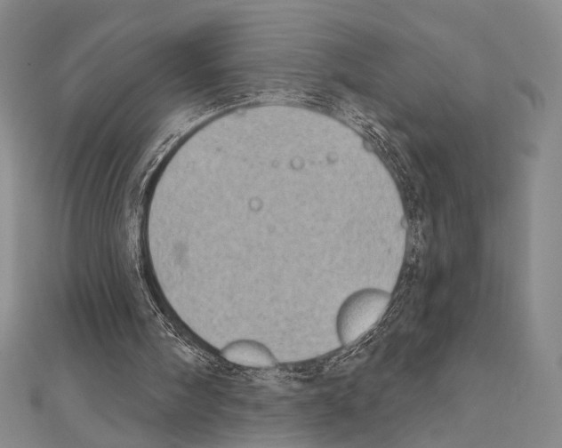 X0000111220098200908131110